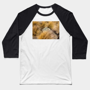 tussock Baseball T-Shirt